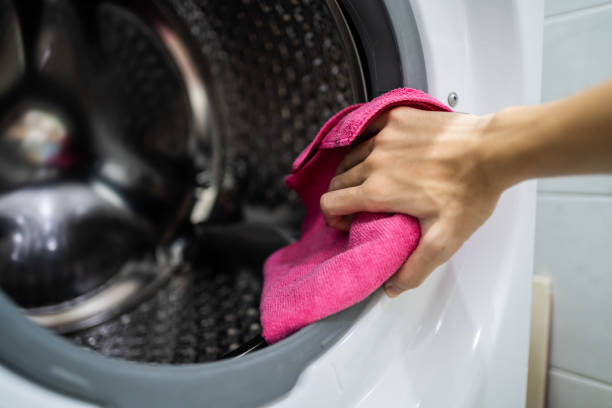 Best Mold Prevention Services  in Bryn Mawr, PA