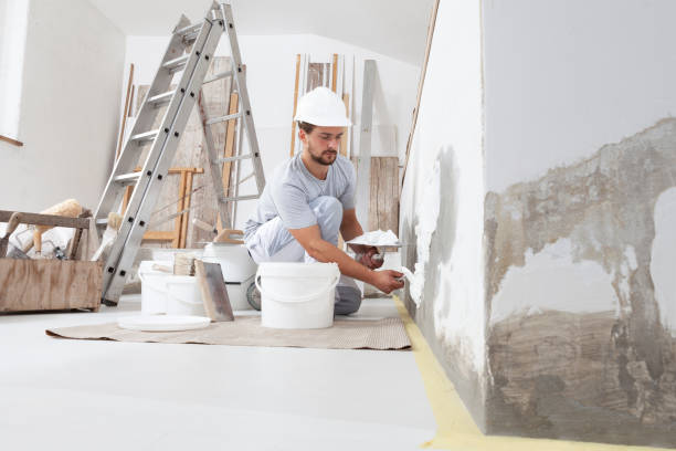 Mold Remediation for Rental Properties in Bryn Mawr, PA