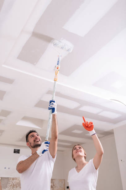 Best Mold Remediation for Healthcare Facilities  in Bryn Mawr, PA