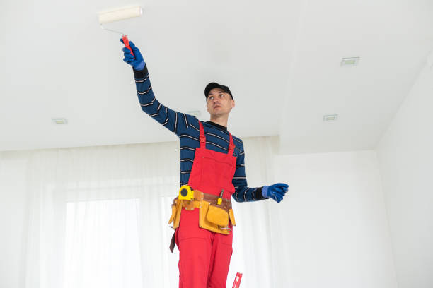 Best Industrial Mold Remediation  in Bryn Mawr, PA