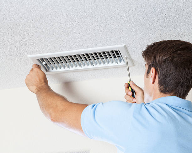 Best Biohazard Mold Removal  in Bryn Mawr, PA