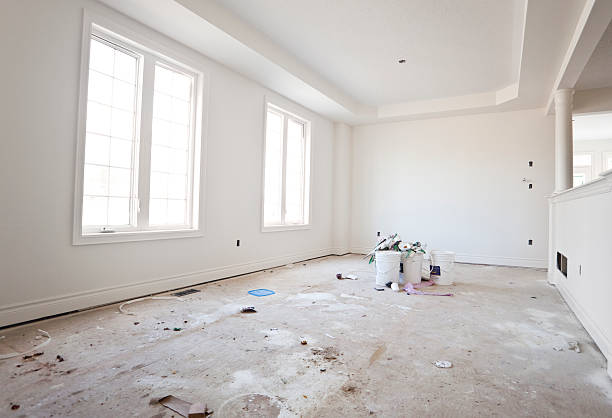 Best Basement Mold Removal  in Bryn Mawr, PA