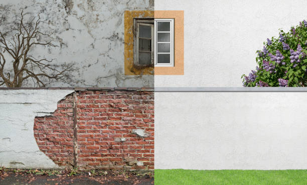 Best Mold Odor Removal Services  in Bryn Mawr, PA