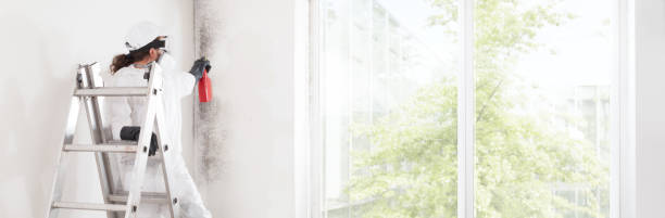 Best Mold-Related Health Consultation  in Bryn Mawr, PA
