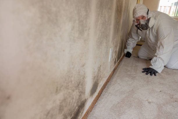 Best Mold Removal for HVAC Installations  in Bryn Mawr, PA