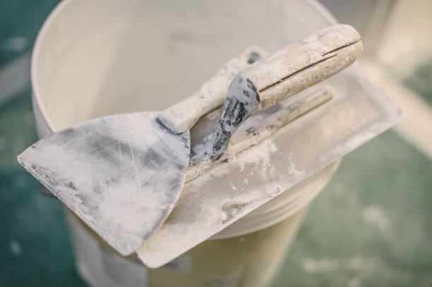Best Black Mold Removal  in Bryn Mawr, PA