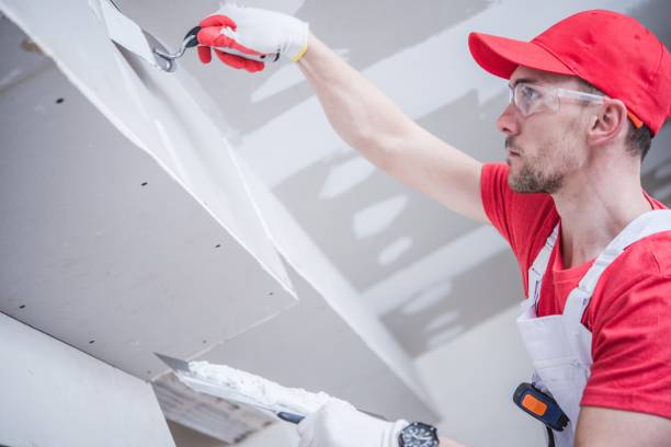  Bryn Mawr, PA Mold Removal Pros